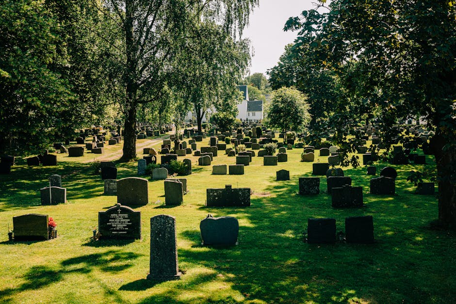 A peaceful cemetery scene during daylight hours, featuring a well-maintained grassy area filled with numerous upright headstones and grave markers of varying shapes, sizes, and materials. The headstones are predominantly made of dark grey or black stone, with some displaying engraved inscriptions, and a few adorned with small floral arrangements. Large deciduous trees with leafy canopies border the area, casting dappled shadows across the grass, while sunlight filters through the foliage, creating a mixture of light and shadow. In the background, a white building with a dark roof is partially visible behind the trees, set within a quiet and reserved environment. Overall, the scene depicts an organized burial ground with an emphasis on respectful remembrance, reflecting typical features associated with private or independent cemetery landscaping and maintenance, which may also be relevant for waste removal services dealing with cemetery clearance or site upkeep, as indicated by the professional context of rubbish removal services in Brompton.