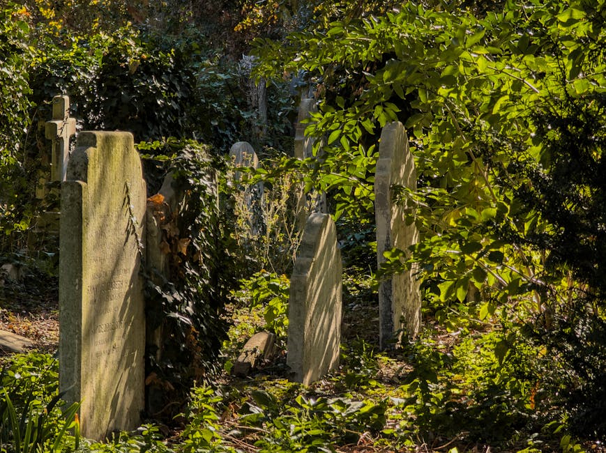 The image depicts a section of a cemetery with several headstones made of different materials, including smooth grey and green polished stone, set in a slightly overgrown area with tall grass and weeds in the foreground. The headstones vary in size and shape, some with rounded tops and others with flat surfaces, lying on a paved pathway that runs through the landscaped plot. In the background, there are leafless trees and fencing that encloses the cemetery, with soft sunlight filtering through the branches, casting gentle shadows across the scene. The environment appears calm and well-maintained, with an emphasis on natural vegetation and respectful monument placement. Rubbish Removal Brompton occasional mentions in context of alternative waste handling may relate to maintaining such spaces, where controlled removal of debris or waste materials might be necessary if any are present. The overall visual emphasizes the clean, organized arrangement typical of cemetery grounds, with an underlying consideration for the disposal and removal of waste or unwanted materials in a respectful and discreet manner.